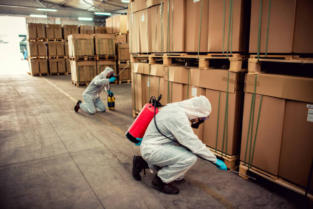 Best Mosquito Control Services  in Belle Isle, FL
