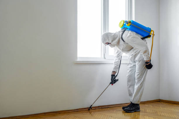 Best Pest Inspection Near Me  in Belle Isle, FL