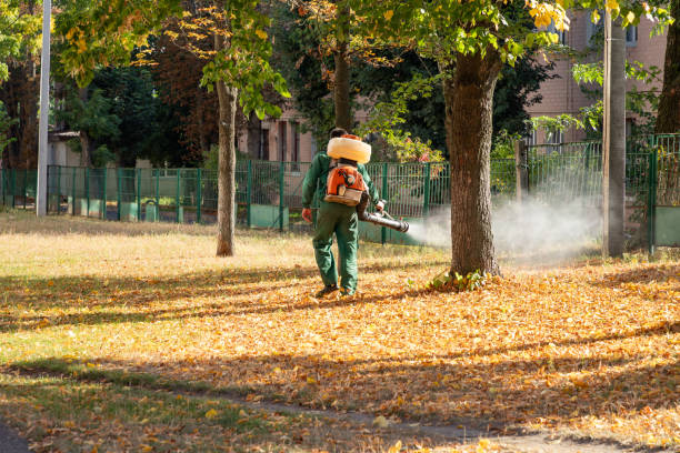Best Termite Control Services  in Belle Isle, FL